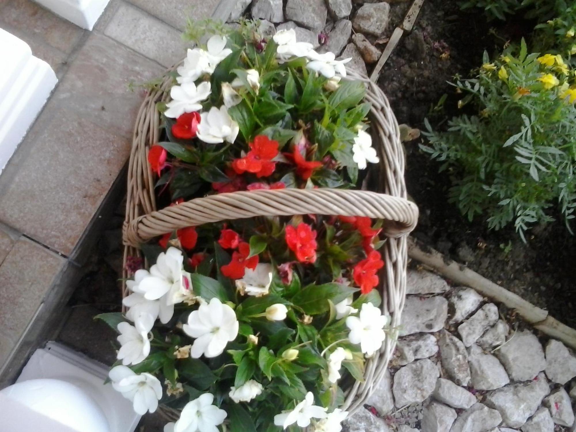 Guesthouse Tomas Catrnja ภายนอก รูปภาพ