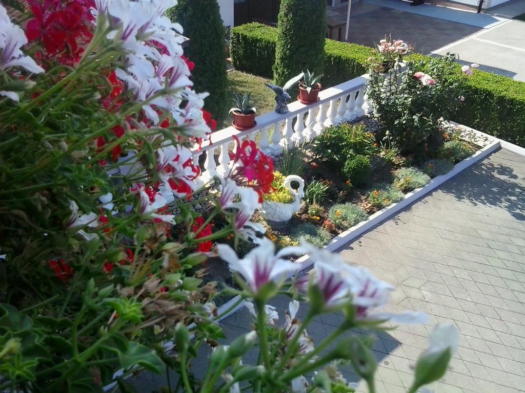 Guesthouse Tomas Catrnja ภายนอก รูปภาพ