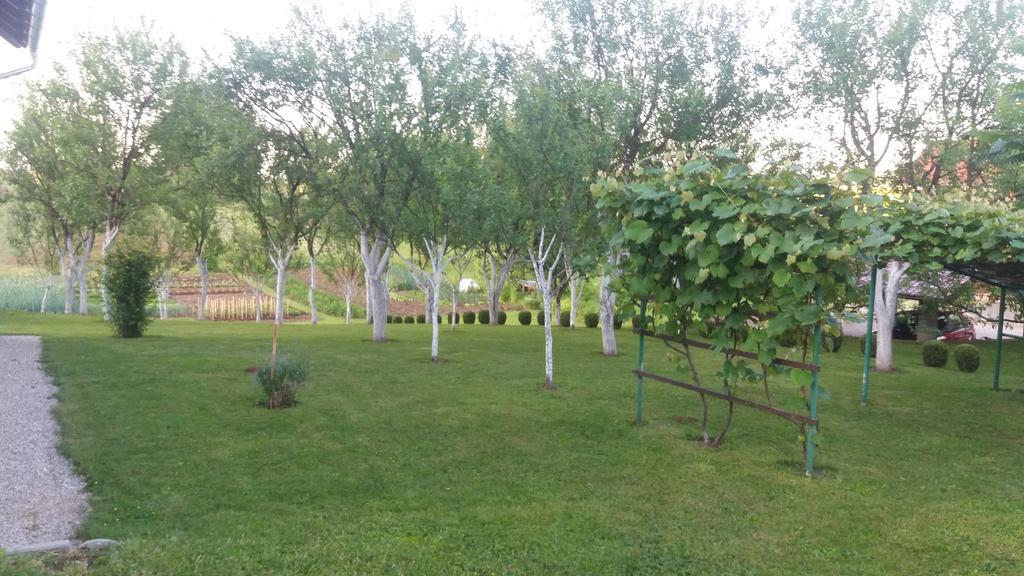 Guesthouse Tomas Catrnja ภายนอก รูปภาพ